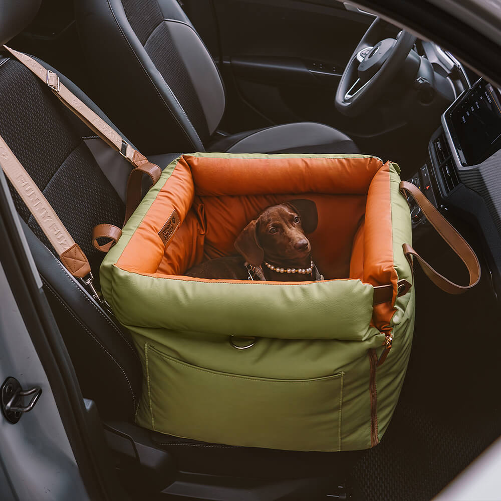 PawLuxury - Luxurious Dog Gear for Comfortable Car Travel