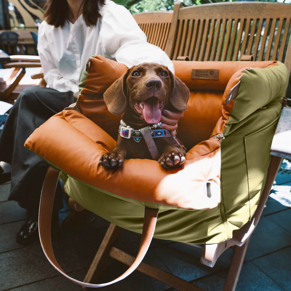 PawLuxury - Luxurious Dog Gear for Comfortable Car Travel