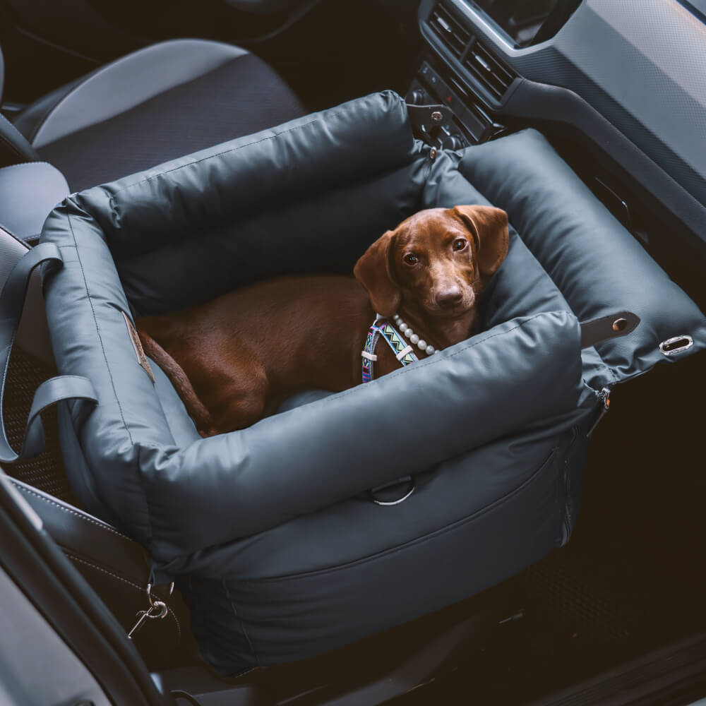 PawLuxury - Luxurious Dog Gear for Comfortable Car Travel
