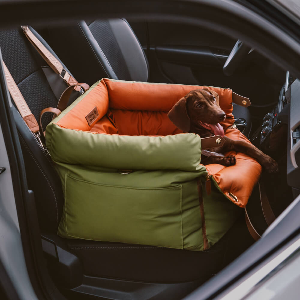 PawLuxury - Luxurious Dog Gear for Comfortable Car Travel