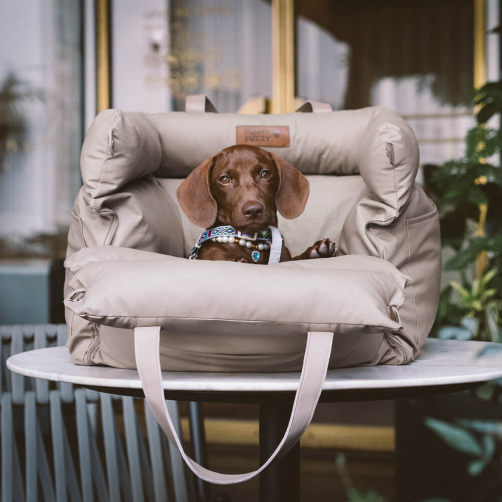 PawLuxury - Luxurious Dog Gear for Comfortable Car Travel