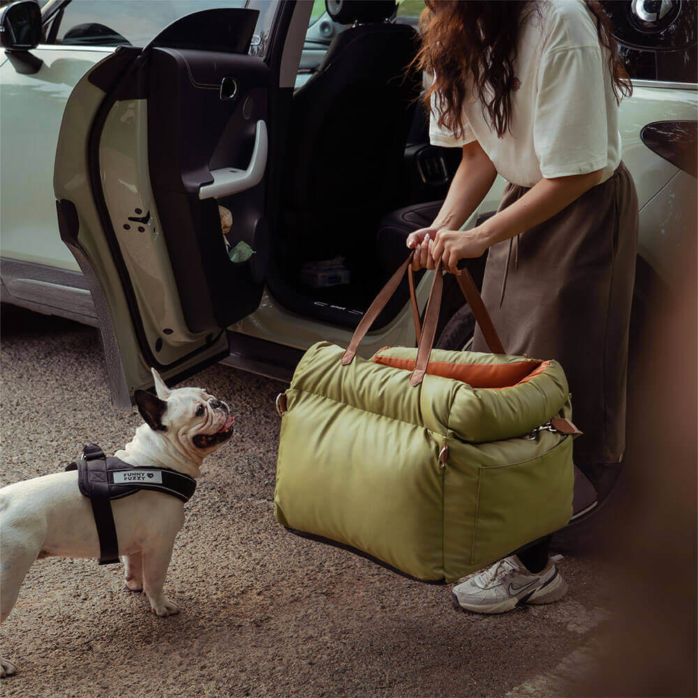 PawLuxury - Luxurious Dog Gear for Comfortable Car Travel