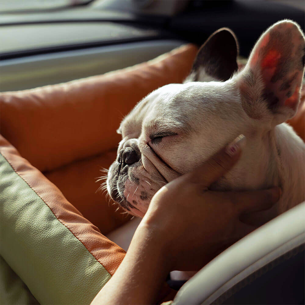 PawLuxury - Luxurious Dog Gear for Comfortable Car Travel