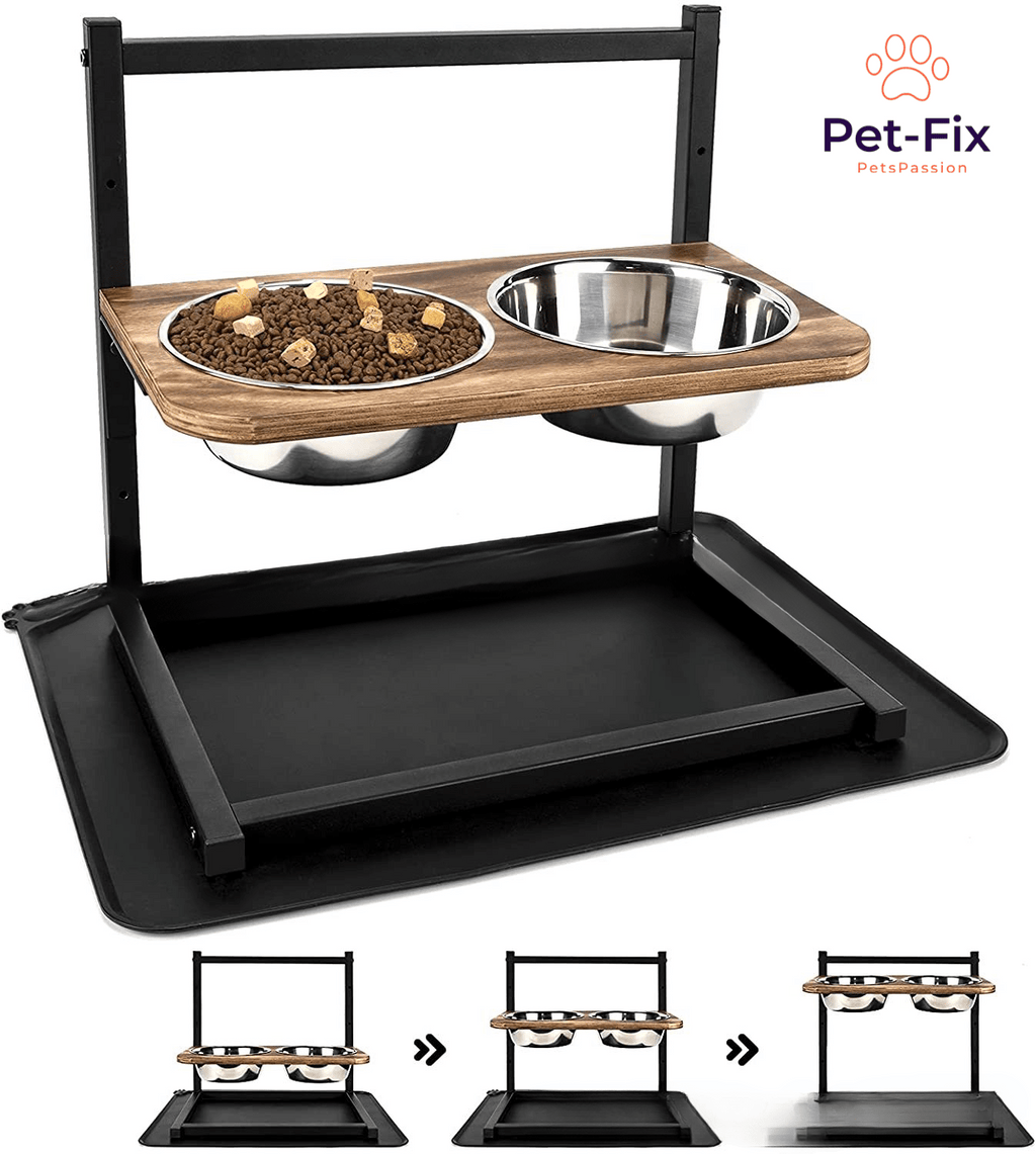 SnackHaven - Luxury Elevated Dog Feeder