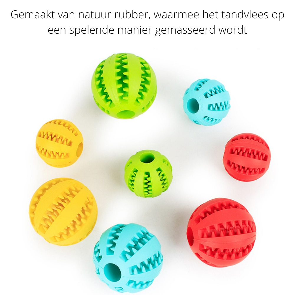 PlayMaster – Durable Interactive Dog Toy for Fun