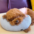 PetEase Luxe - Orthopedic Dog Bed for Comfort