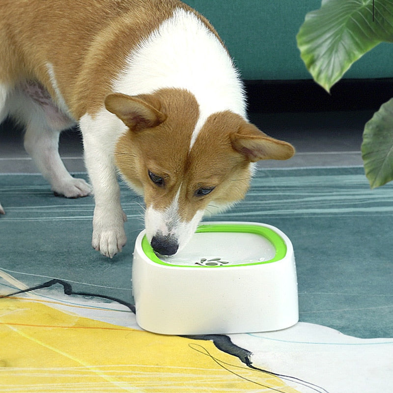 Pet Splash Bowl