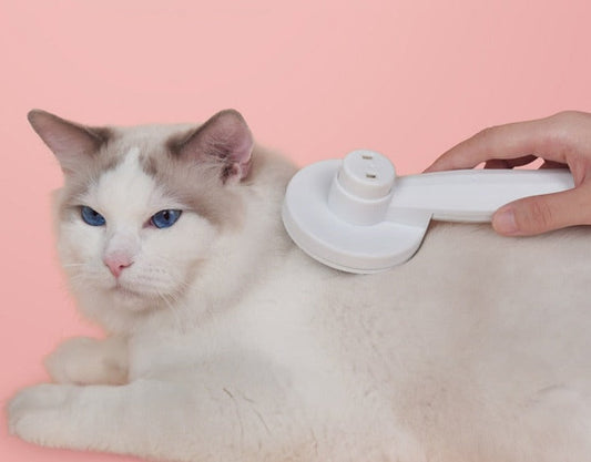 SelfClean – Innovative Cat Brush for Grooming