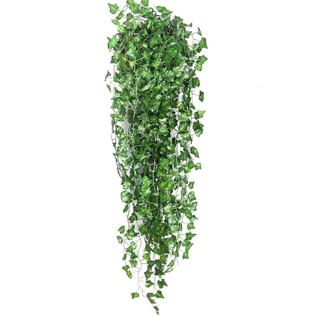 EvergreenGlow – Ever-Green Plants for Every Season