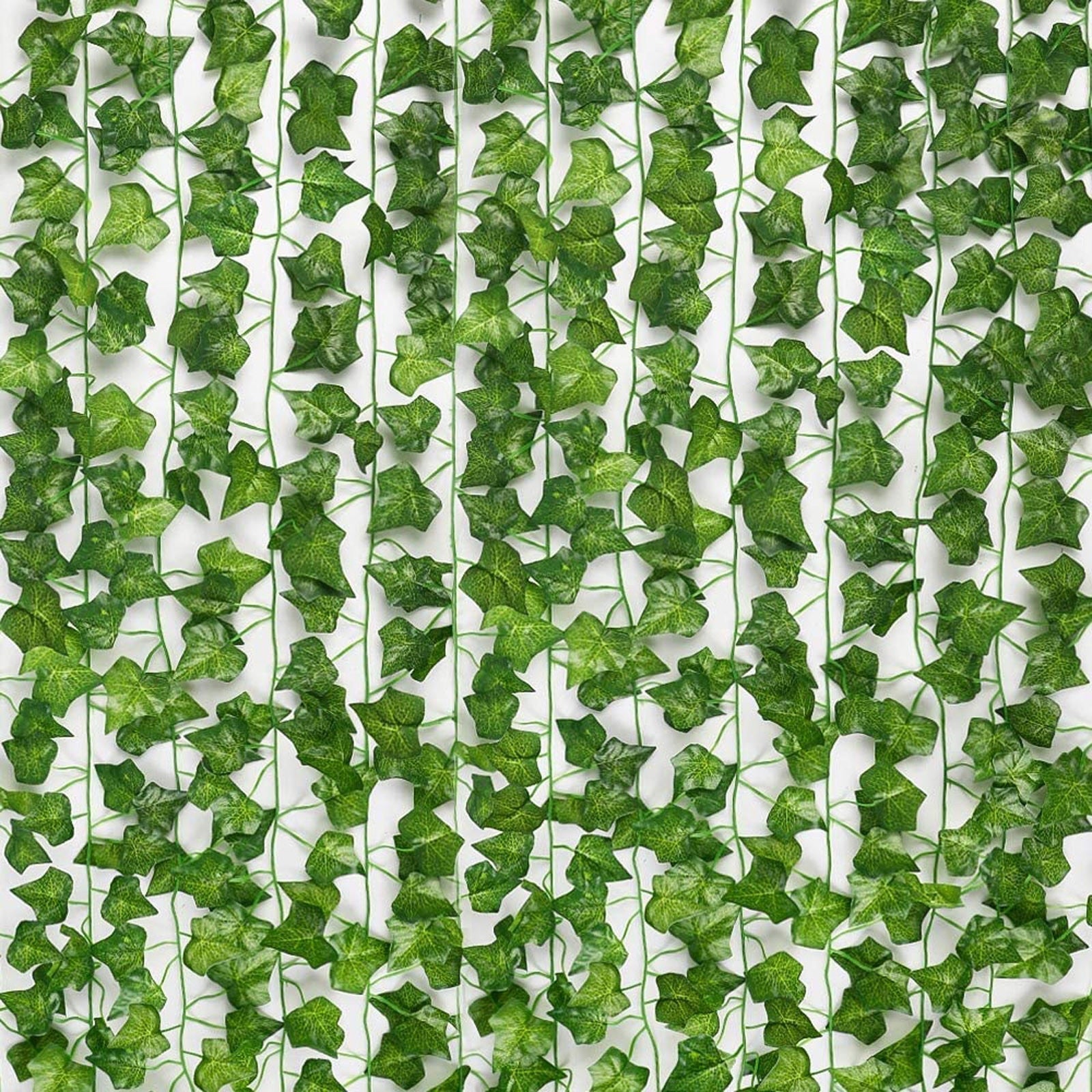 EvergreenGlow – Ever-Green Plants for Every Season