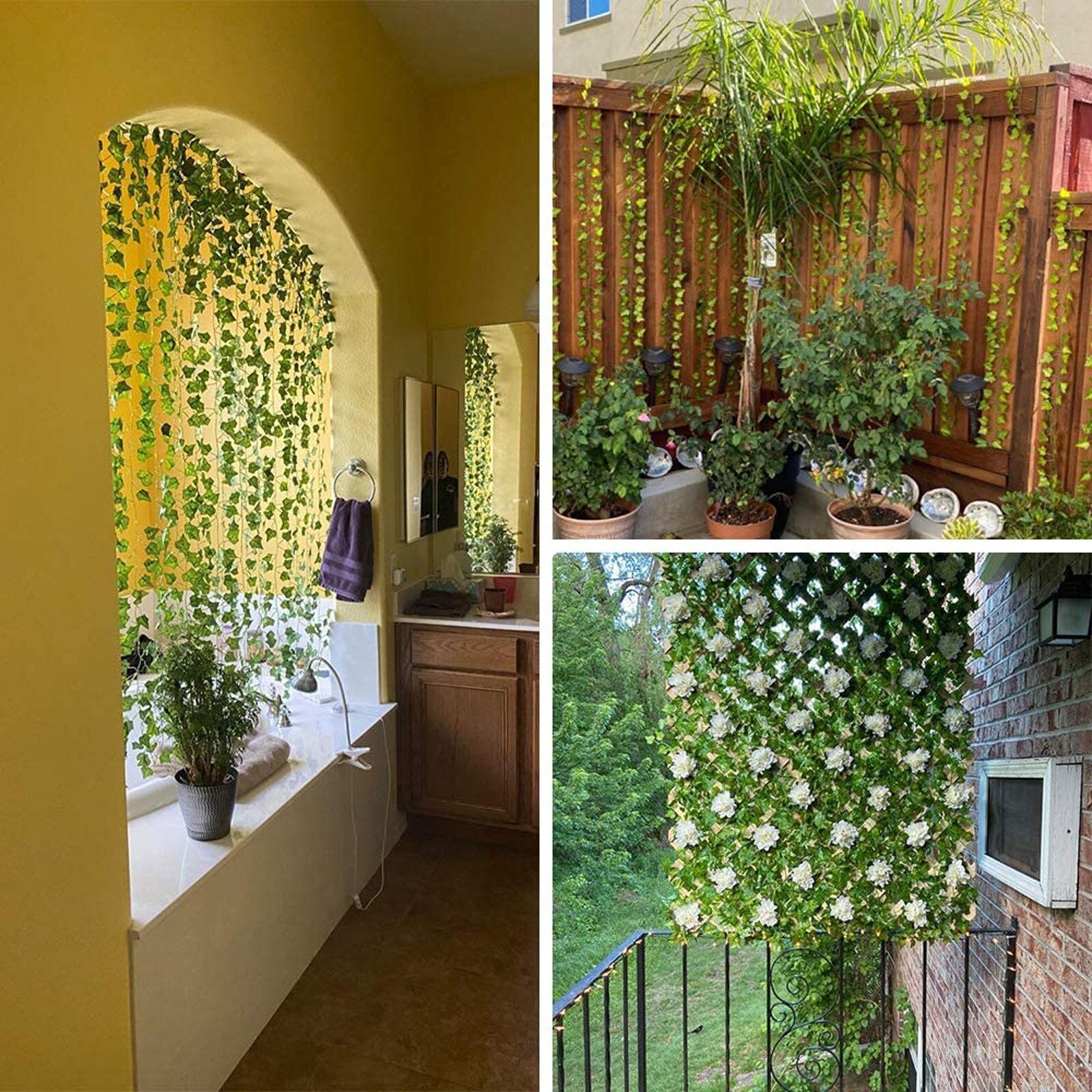 EvergreenGlow – Ever-Green Plants for Every Season