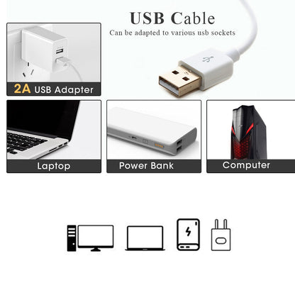 Photo Studio Lightbox (+ FREE Tripod)