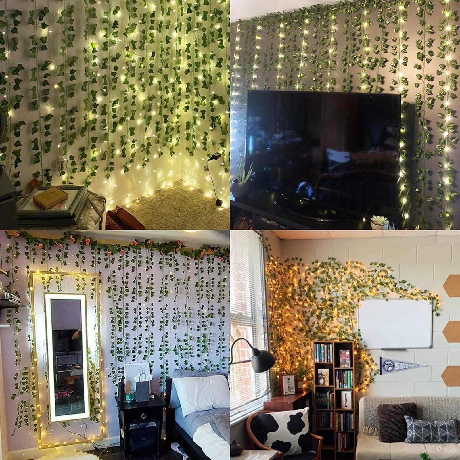 EvergreenGlow – Ever-Green Plants for Every Season