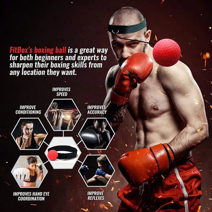 PunchPro - Reflex Ball for Boxing Training