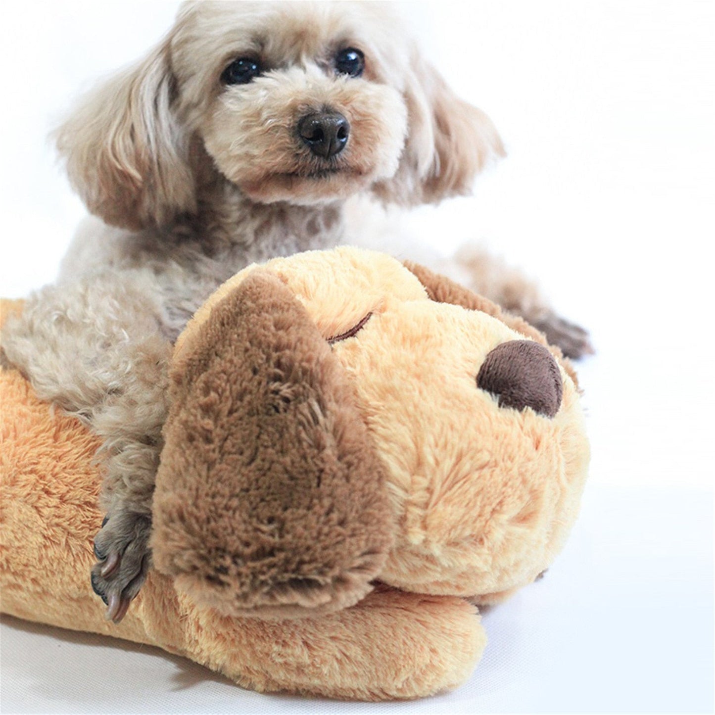 CuddlePup – Comfortable Play Buddy for Dogs