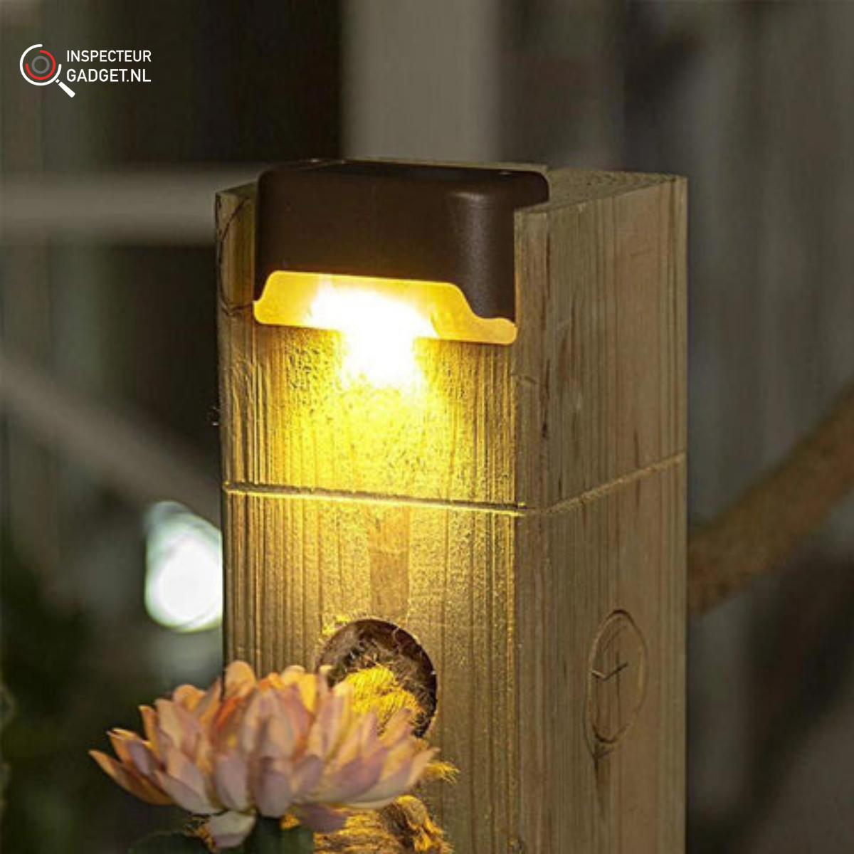 Wireless LED Solar Wall Lights Deluxe - Create the perfect ambiance in your garden!
