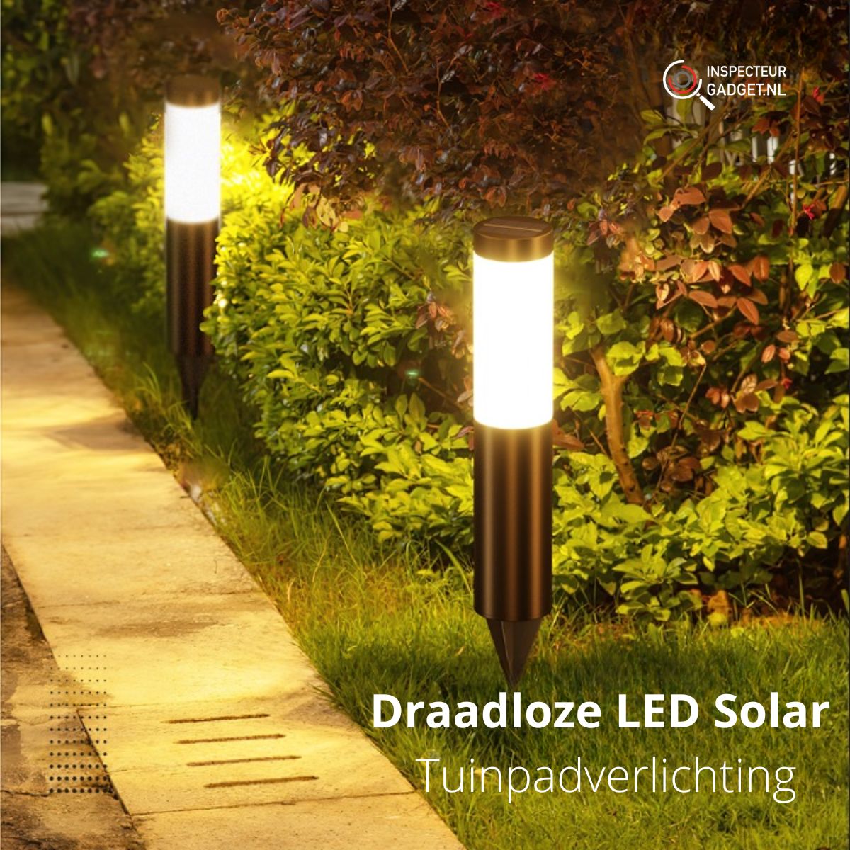 Wireless LED Solar Garden Path Light - Create the perfect atmosphere in your garden!