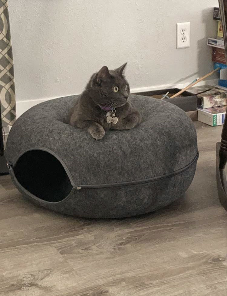 Purrfect Den - Luxury Cat Tunnel with Sleeping Area
