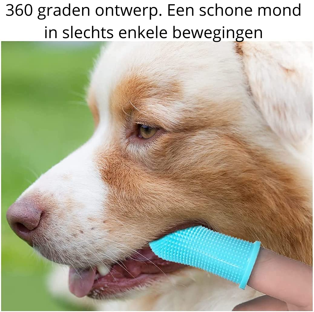 PawClean Pro - Safe At-Home Dog Dental Care