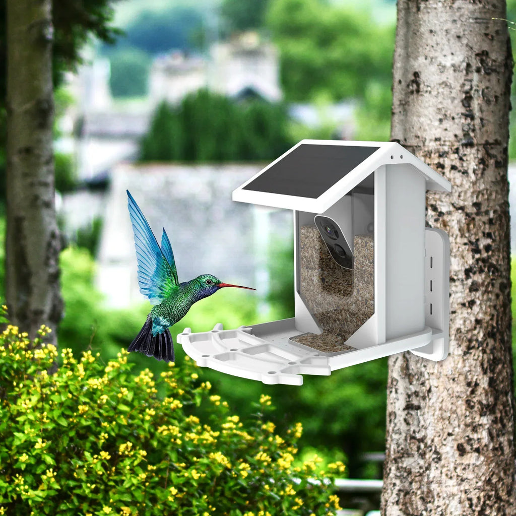 Wireless Solar Bird Feeder - Explore nature in a unique way!
