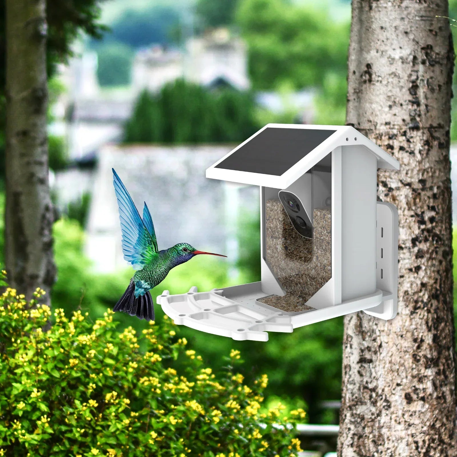 Wireless Solar Bird Feeder - Explore nature in a unique way!