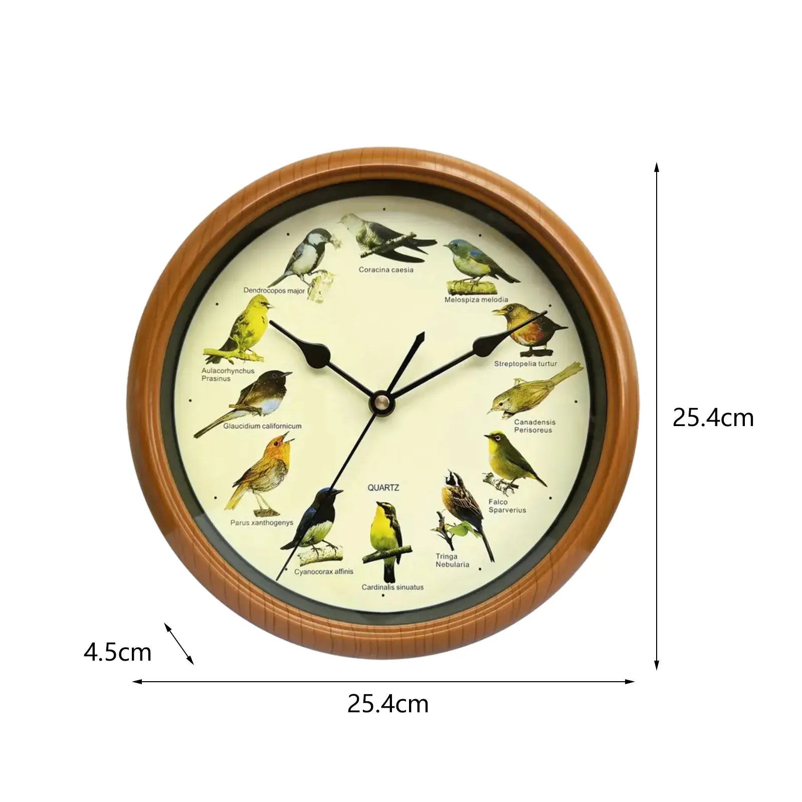BirdSong Clock – 10 Inch Wall Clock for Stylish Interiors