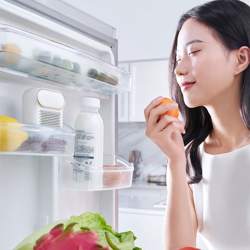Fresh Breeze - Refrigerator Deodorizer for Odors