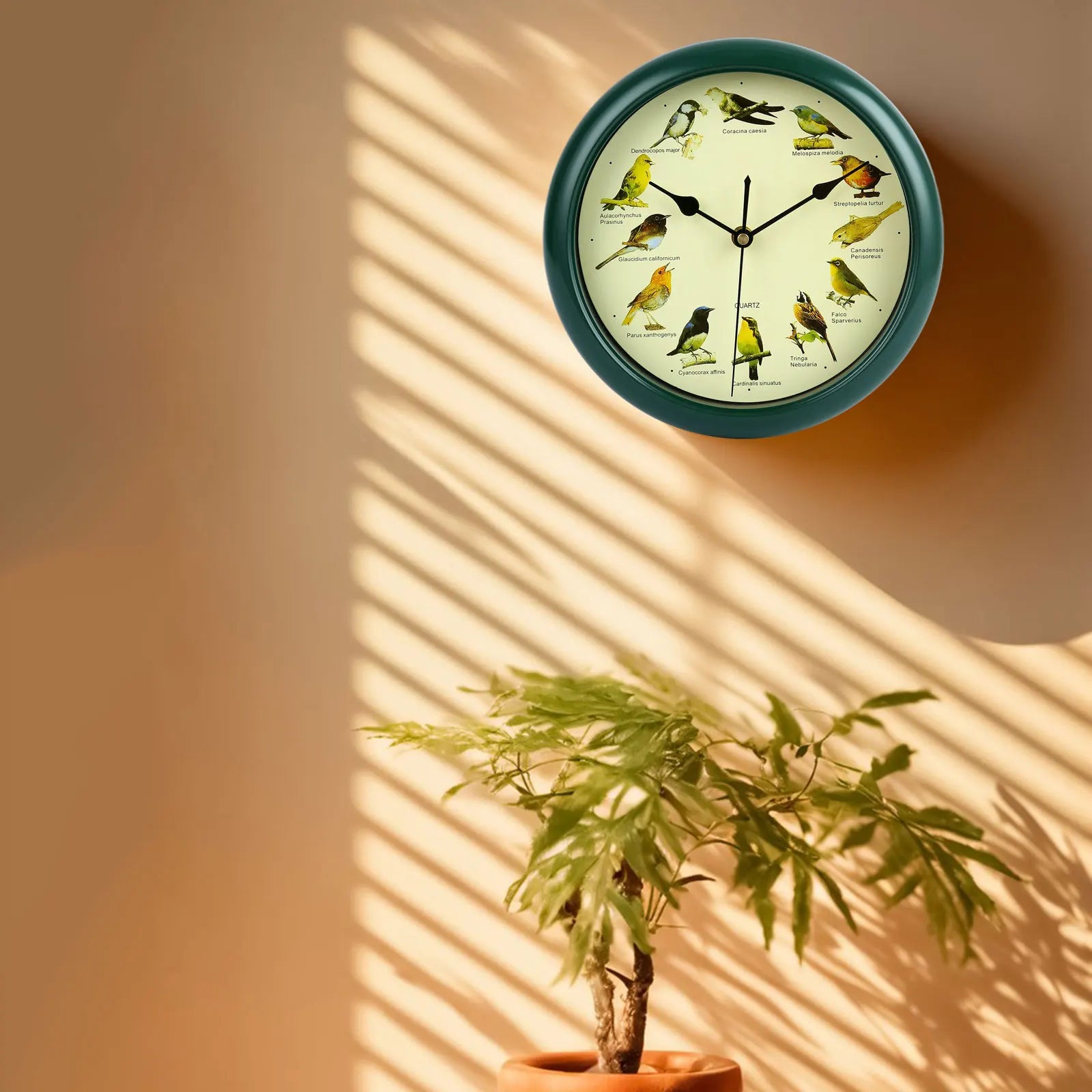 BirdSong Clock – 10 Inch Wall Clock for Stylish Interiors