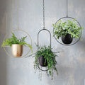 Elegance plant hangers - Scandinavian Plant Hangers for a Chic Interior