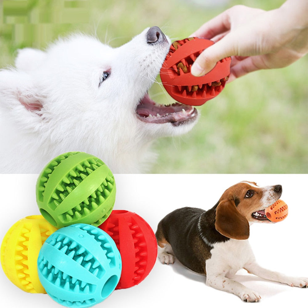 PlayMaster – Durable Interactive Dog Toy for Fun