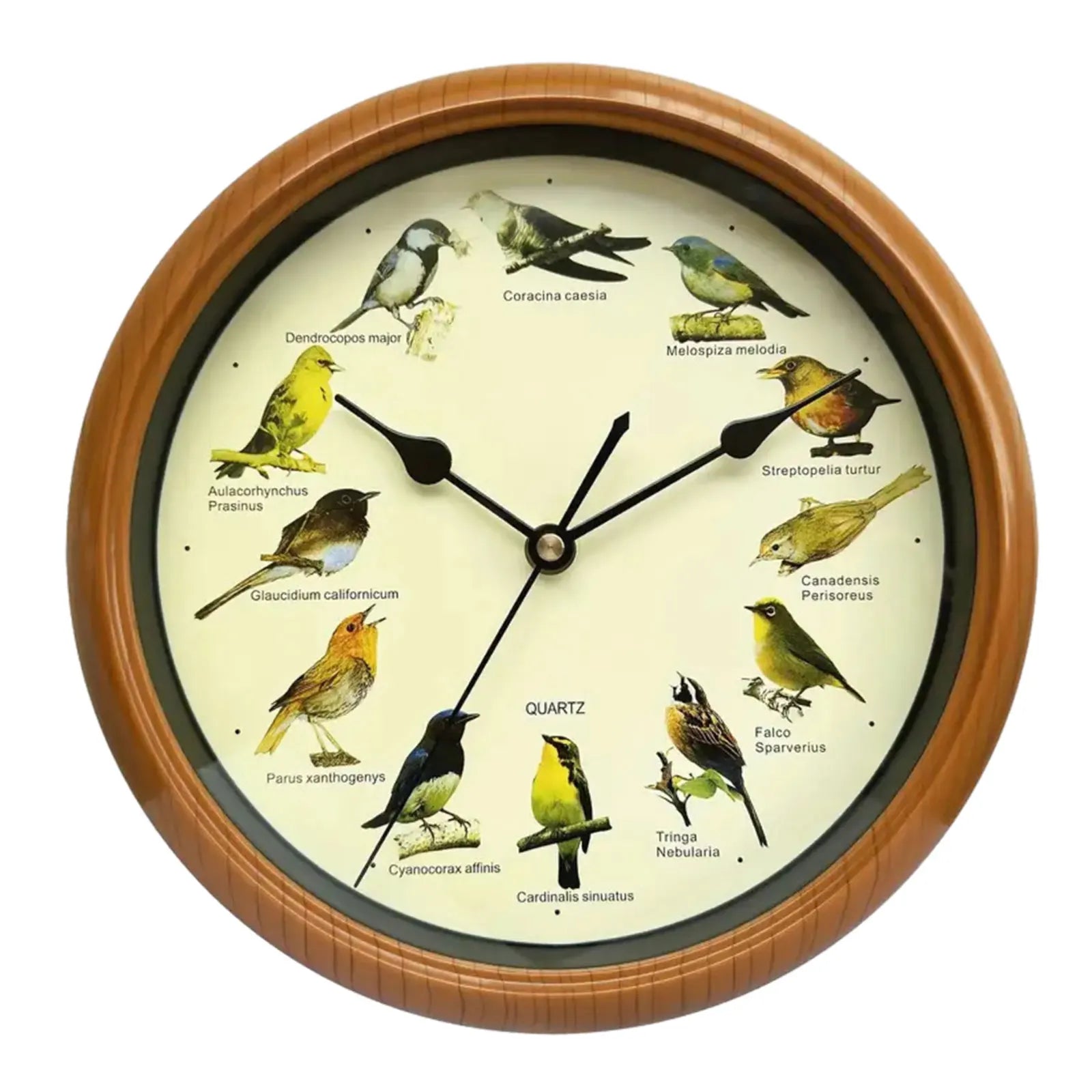 BirdSong Clock – 10 Inch Wall Clock for Stylish Interiors