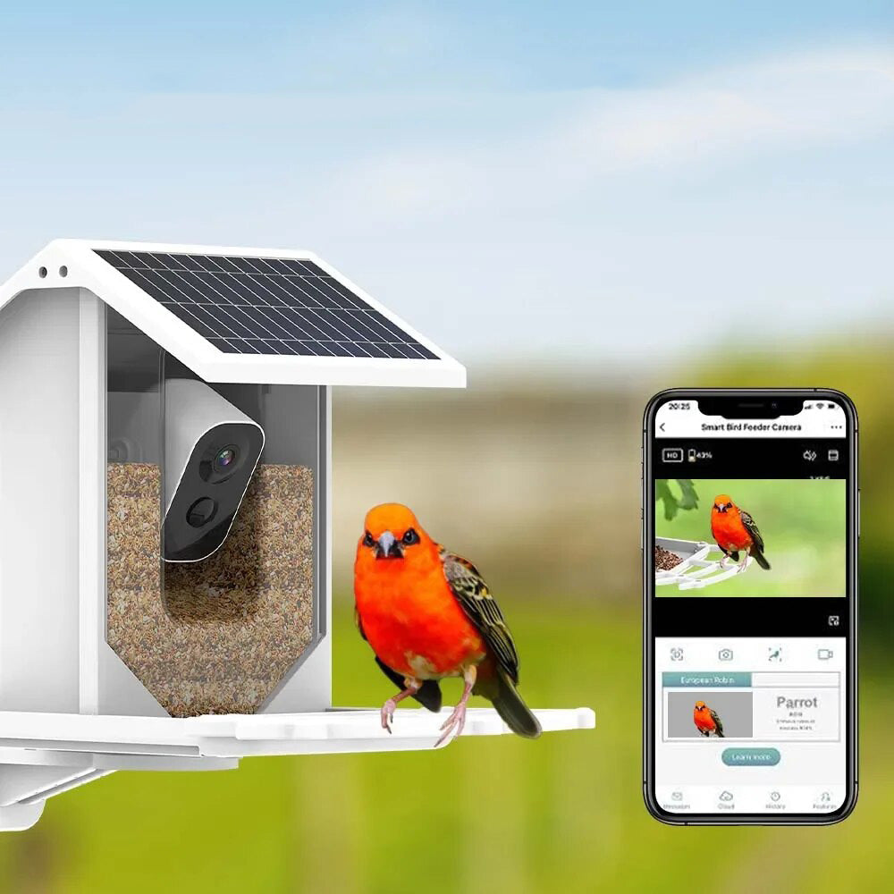 Wireless Solar Bird Feeder - Explore nature in a unique way!