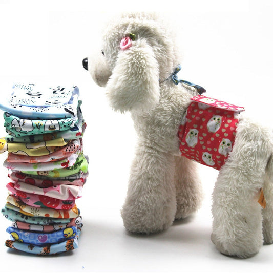 CleanPaw – Washable Dog Diaper for Worry-Free Comfort