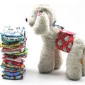 CleanPaw – Washable Dog Diaper for Carefree Comfort
