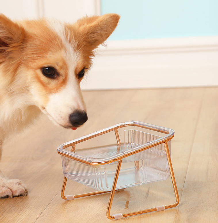 PetChic - Trendy Feeder for Stylish Pets