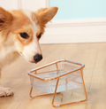 PetChic - Trendy Feeding Bowl for Stylish Animals