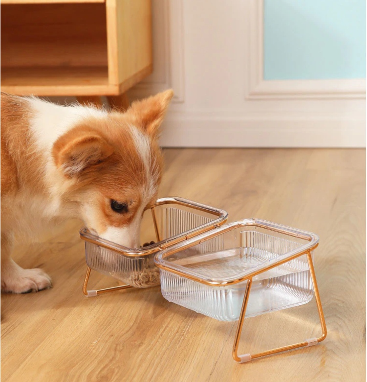 PetChic - Trendy Feeder for Stylish Pets