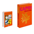 DecorativeBooks – Cheerful Books for Your Living Room