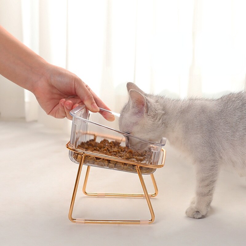 PetChic - Trendy Feeder for Stylish Pets