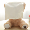 TalkyBear Plush – Funny Interactive Plush Toy