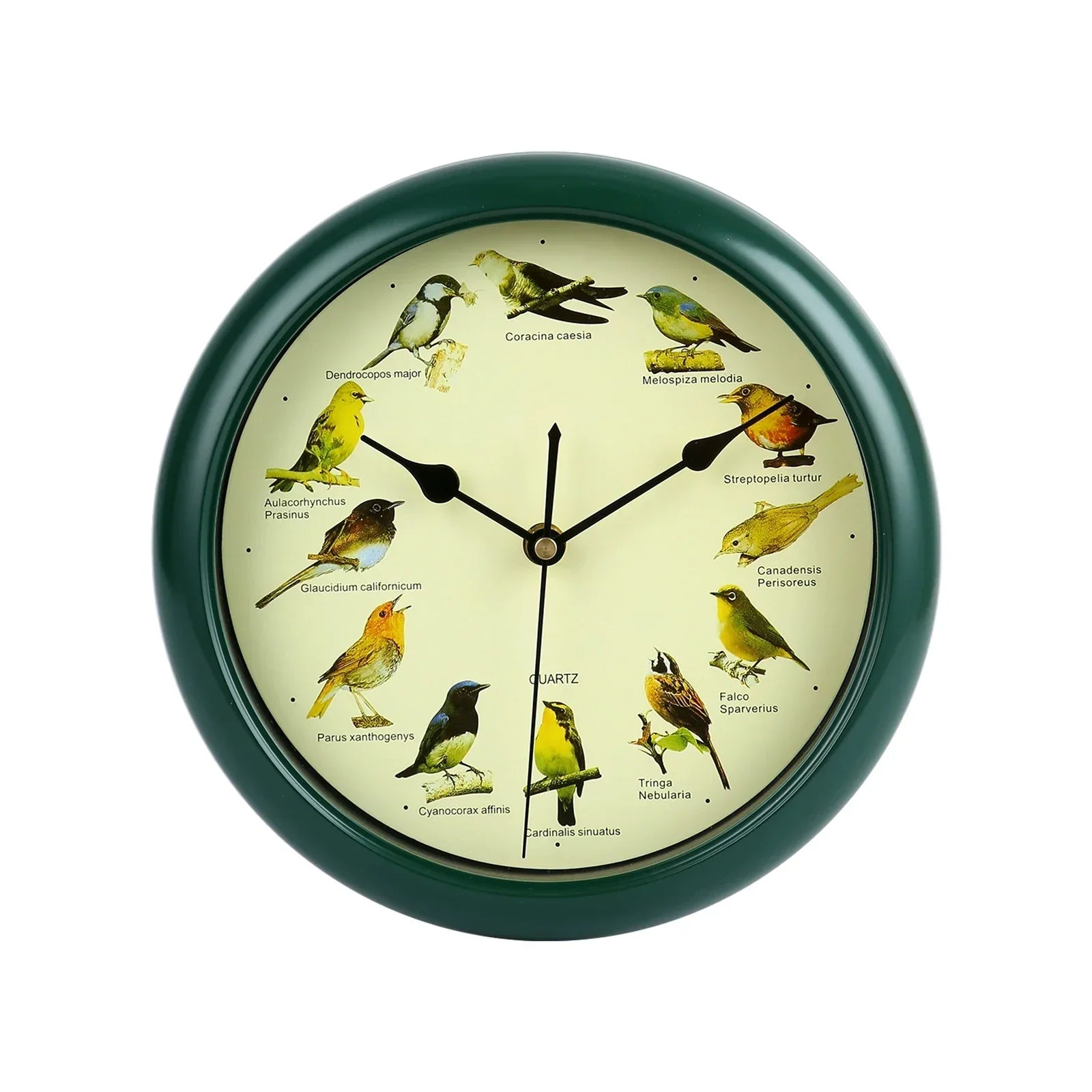 BirdSong Clock – 10 Inch Wall Clock for Stylish Interiors