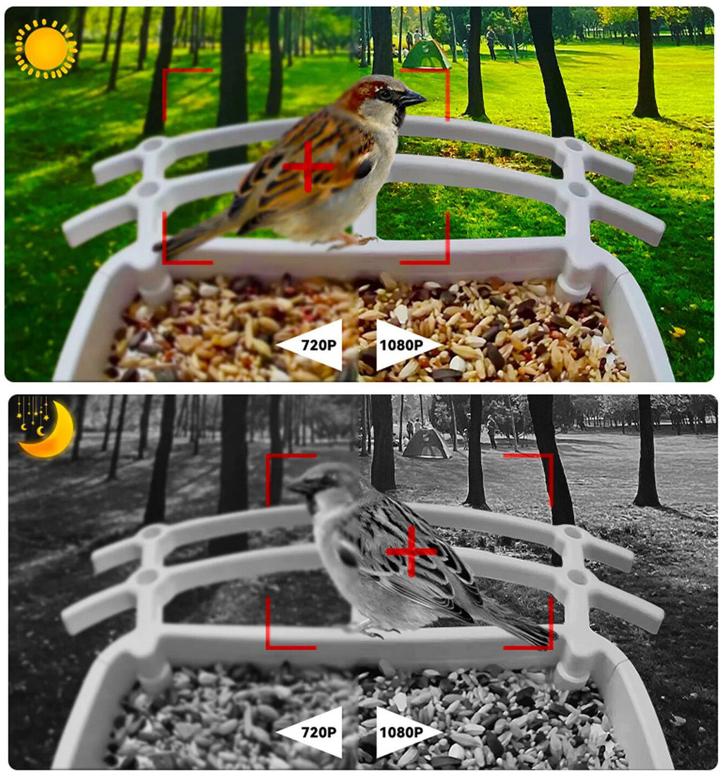Wireless Solar Bird Feeder - Explore nature in a unique way!