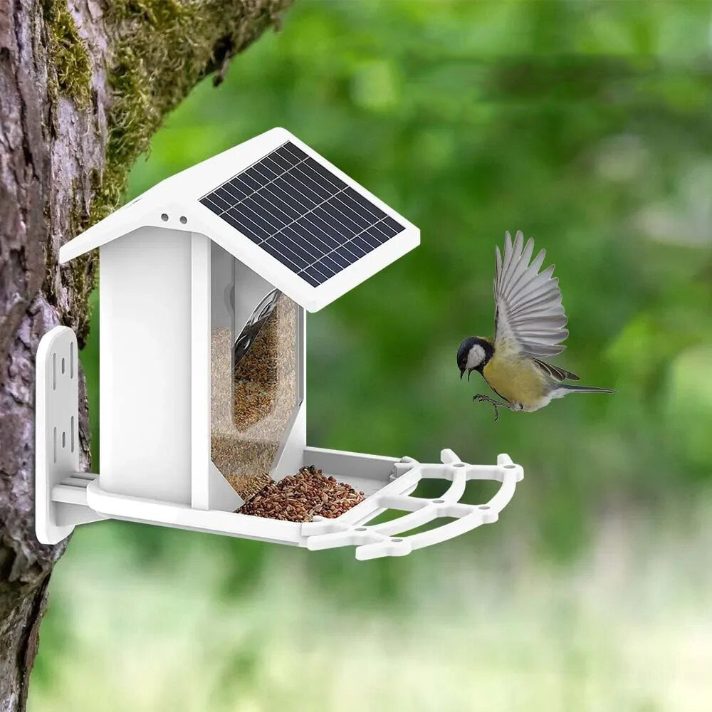 Wireless Solar Bird Feeder - Explore nature in a unique way!