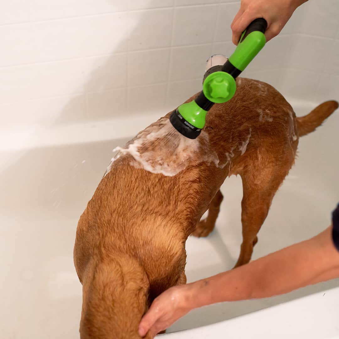 Dogjet Pro™ - Wash your dog effortlessly in record time!