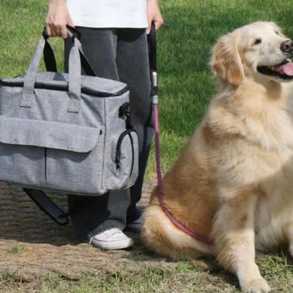 OutdoorPaw Bag – Indispensable Backpack for Adventures