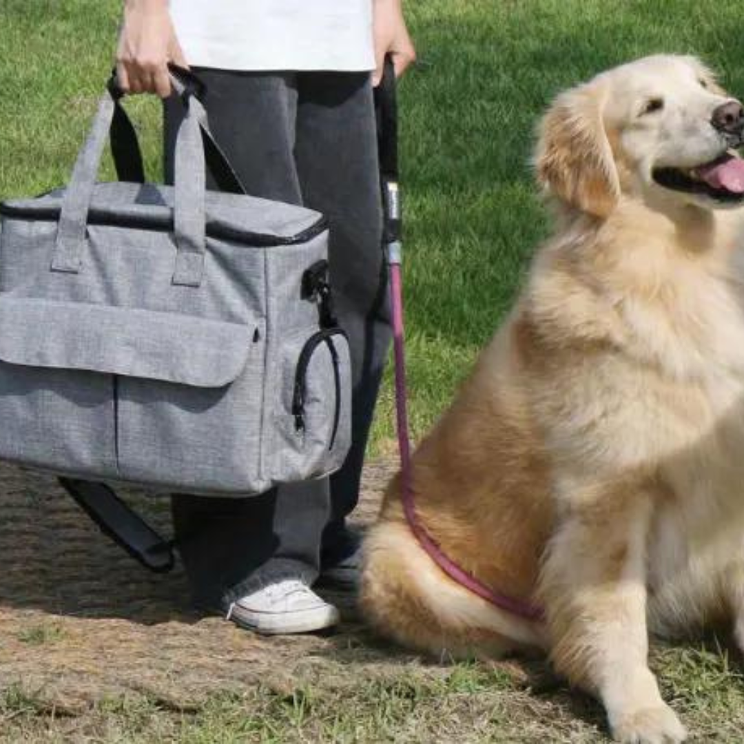 OutdoorPaw Bag – Indispensable Backpack for Adventures