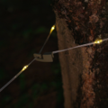 LumiTrail – Stylish Light-Up Cable for Adventurers