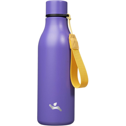 CoolFlow – Stylish Stainless Steel Water Bottle with Handle