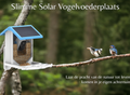 Wireless Solar Bird Feeder - Explore nature in a unique way!
