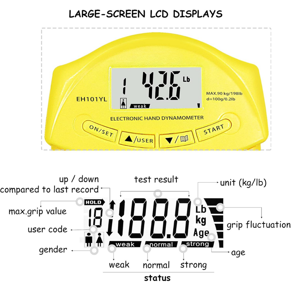 GripMaster - Digital Hand Dynamometer up to 90kg